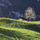 AltoBasso