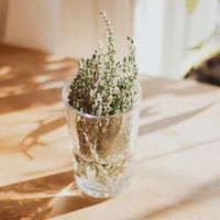 GingerNThyme