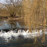 Landluft
