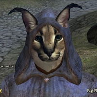 Dingathy