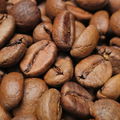 Kokosxpxp1