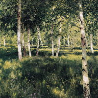 birchboy