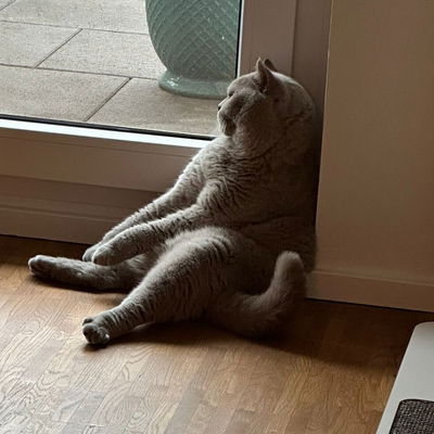 Mynameismax