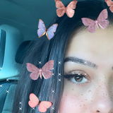 Laramxller