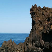 Caphyllia