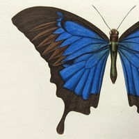 Katrin132615