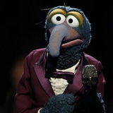 Gonzo