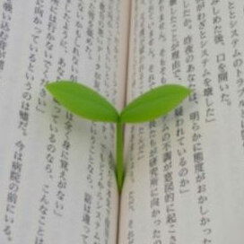 BaronPlant