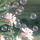 MergScents