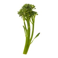 tenderstems