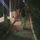 Buddafly86
