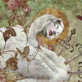 Velvetmoon