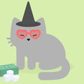 natthecat