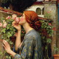 Landei