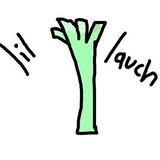 Lillauch