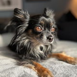 SunnyLo