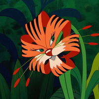 Tigeralice