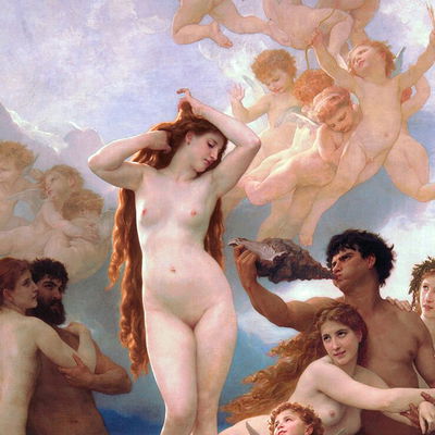 venusinfurs