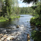 Lumikki