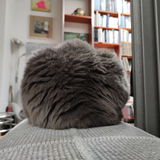 Louis1