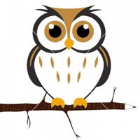 WiseOwl