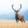 Cervid