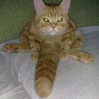 Eliios09
