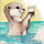 KaffeeOtter