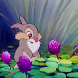 Thumper