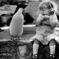 Tendergir