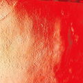 Gaiapurpurea