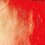Gaiapurpurea