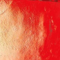 Gaiapurpurea