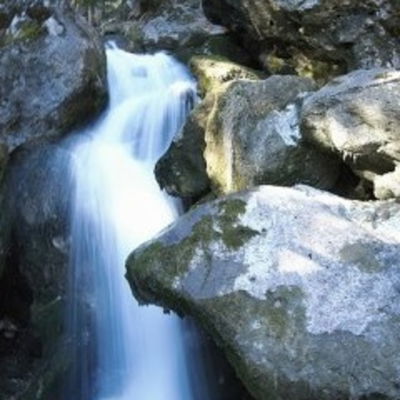 Dasa