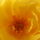 Gartenfee