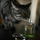 ScentedCat