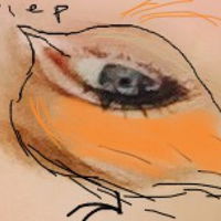 Brauseli