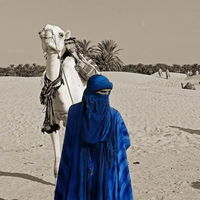 Aladin1001