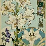 Paperlily