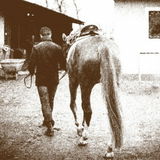 Clemens81
