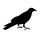 TheRaven