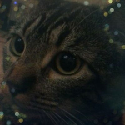 NaughtyKitty