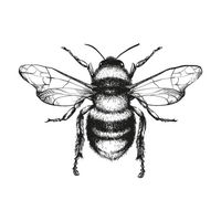MilkandHoney