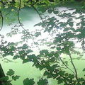 Granulat