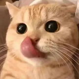 Hukho