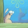 Peqs