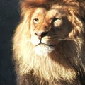 SABIR