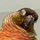 Tiniestbird