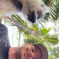 Nils33