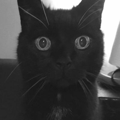 tIgerknurren